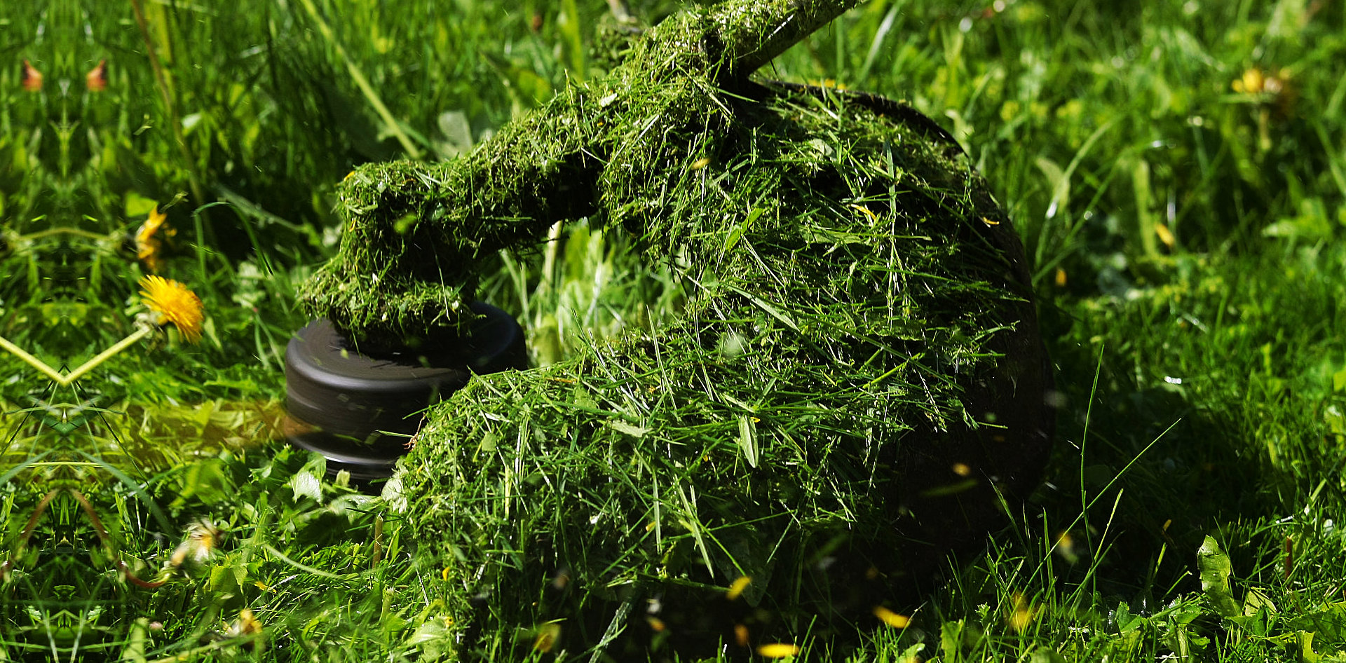 grass cutter in close up view
